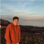 Aprende italiano con un profesor NATIVO. Clases privadas en línea: conversación, gramática, vocabulario